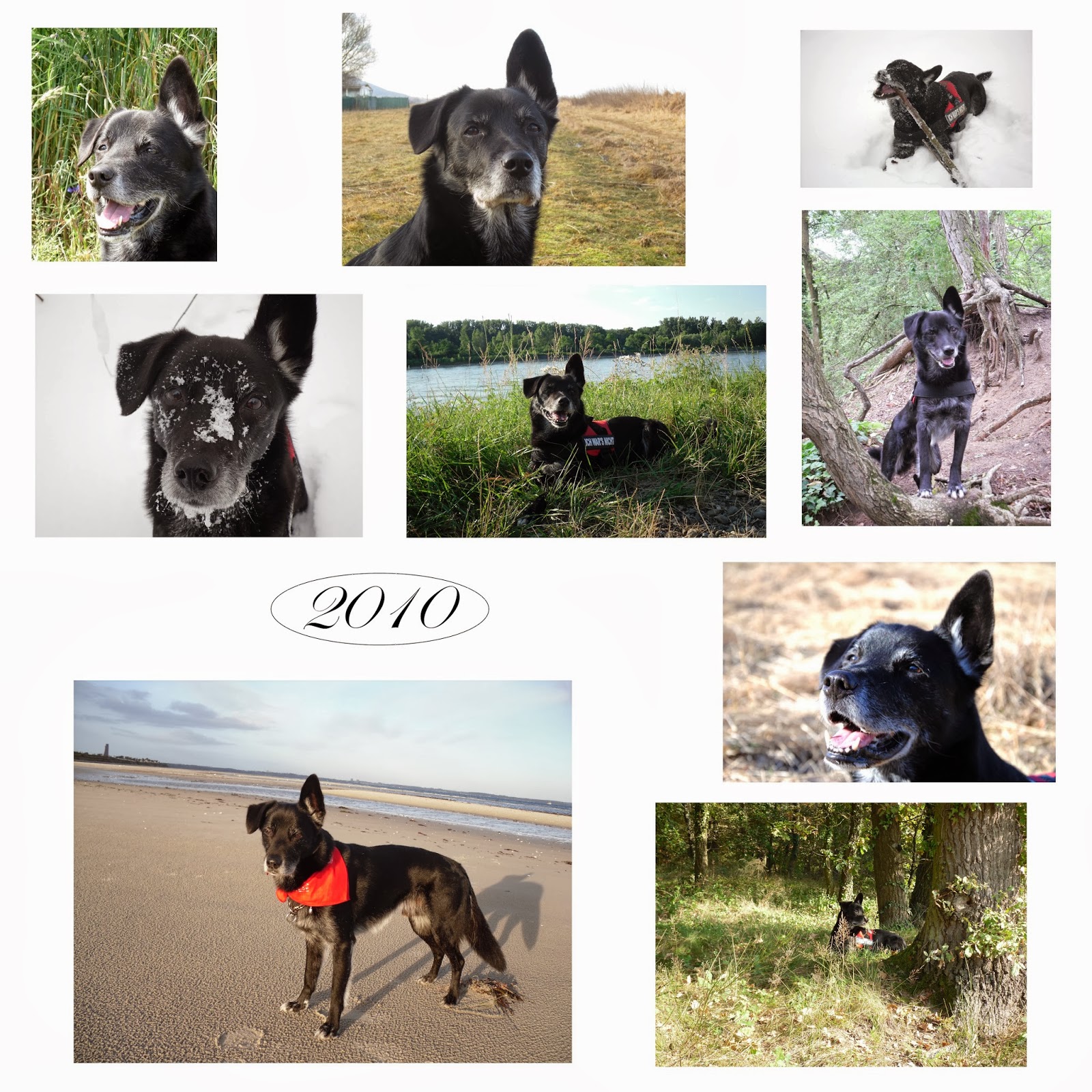 Karambakarina S Welt Return To Sender Von Meiner Liebe Zu Elvis