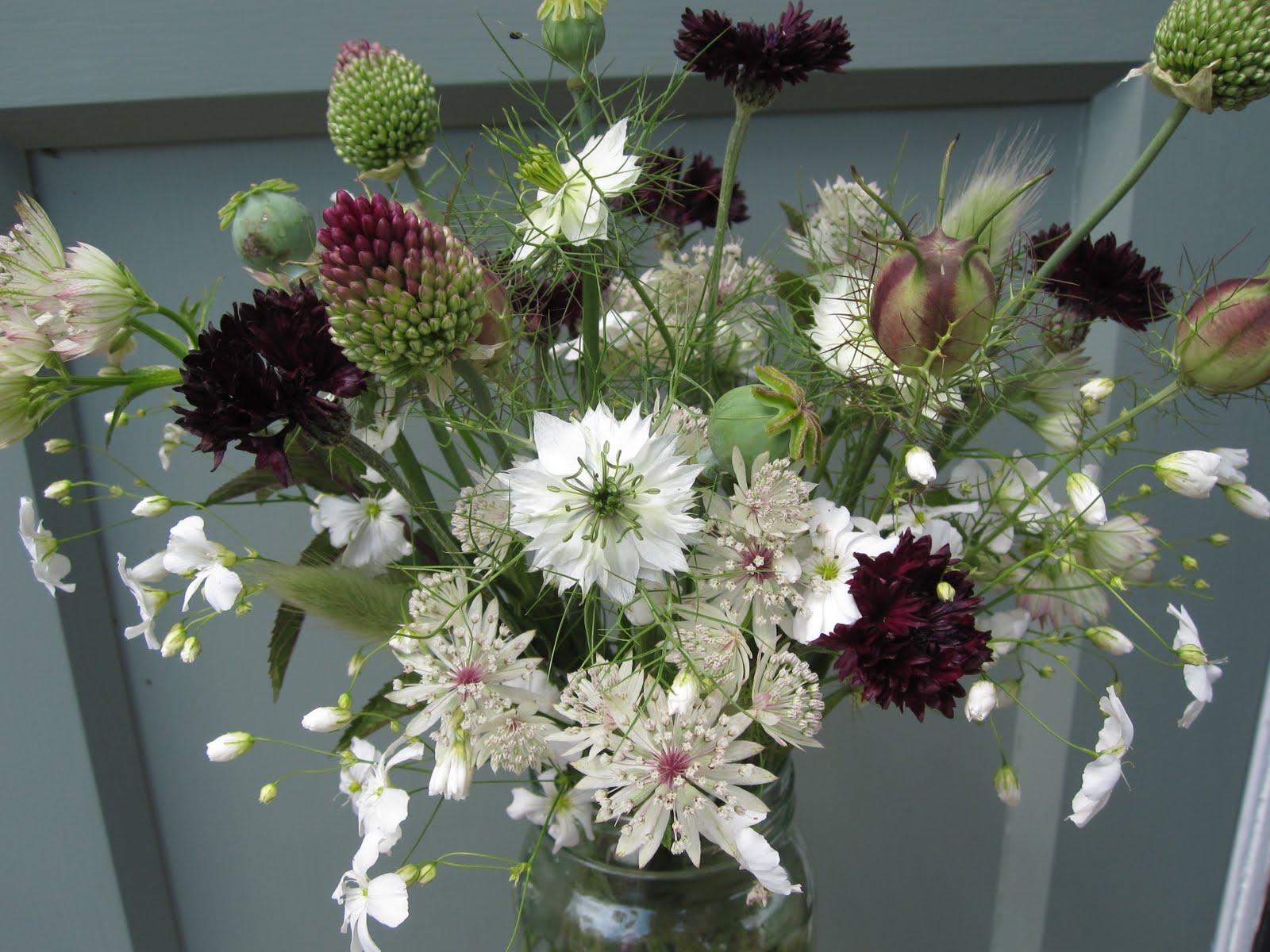Growing and arranging cut flowers the lowdown! Wild Acre