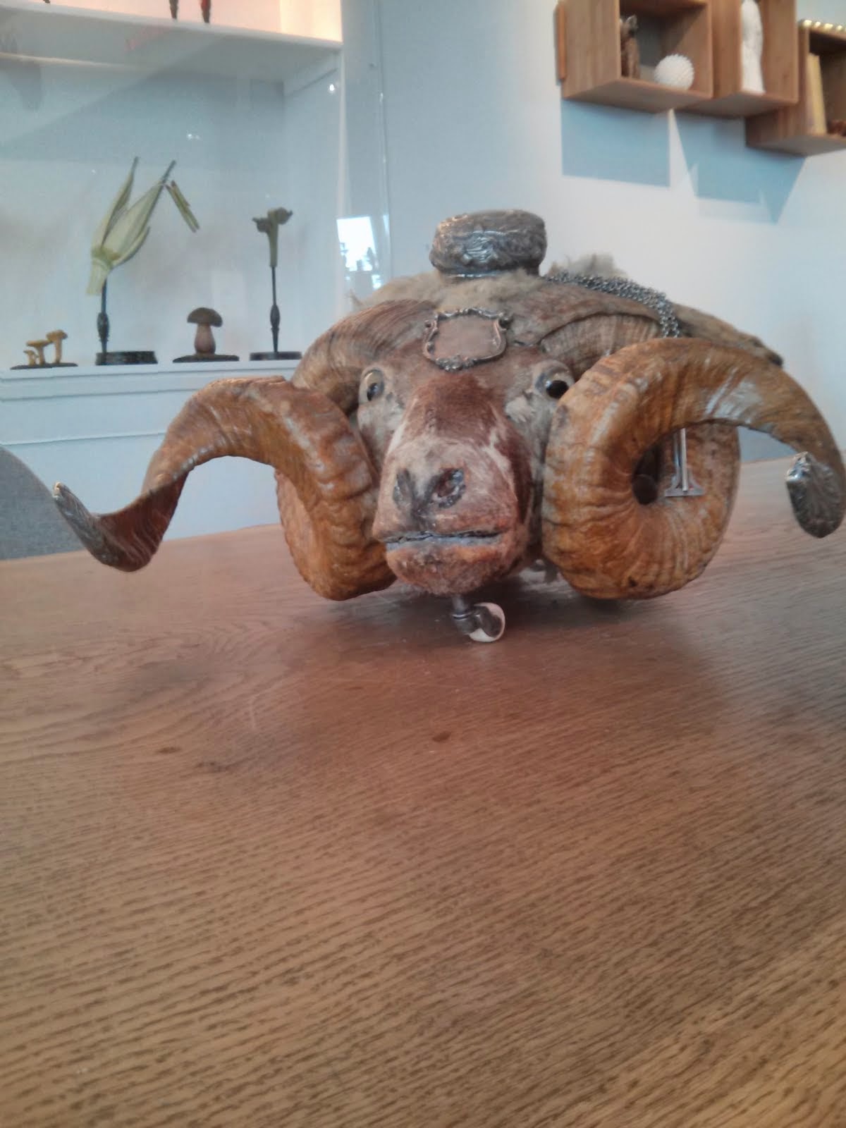 Auf Dem Europaradweg R1 Von Den Haag Nach Berlin Und Weiter 2014