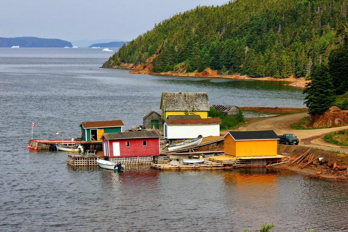 Keith Nicol Adventures More icebergs in Cottrell’s Cove and Brighton
