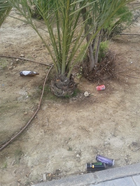 litronas6 litronas6