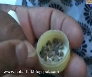 Gadis ini mengeluarkan batu saat menangis Gadis ini mengeluarkan batu saat menangis