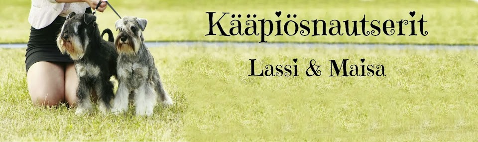 Kääpiösnautserit Lassi ja Maisa