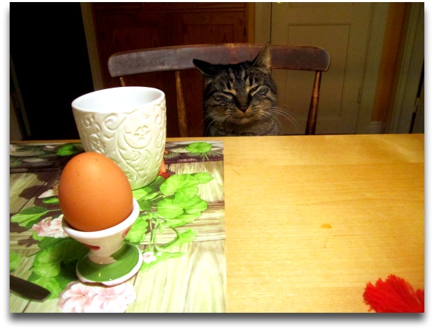 dejtingsida för de som vill ha barn