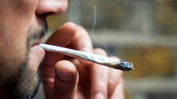 relação entre a maconha e a ocorrência de câncer nos testículos. relação entre a maconha e a ocorrência de câncer nos testículos.