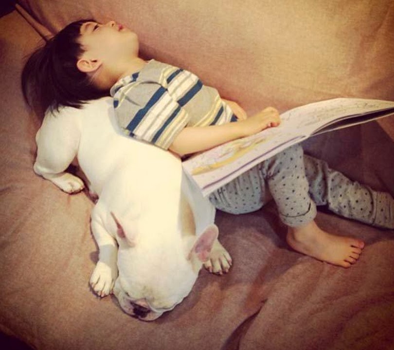 출처:해적 haezuk.com 불독과 교감하는 소년