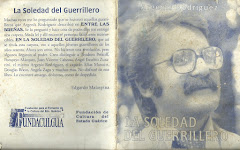 LA SOLEDAD DEL GUERRILLERO