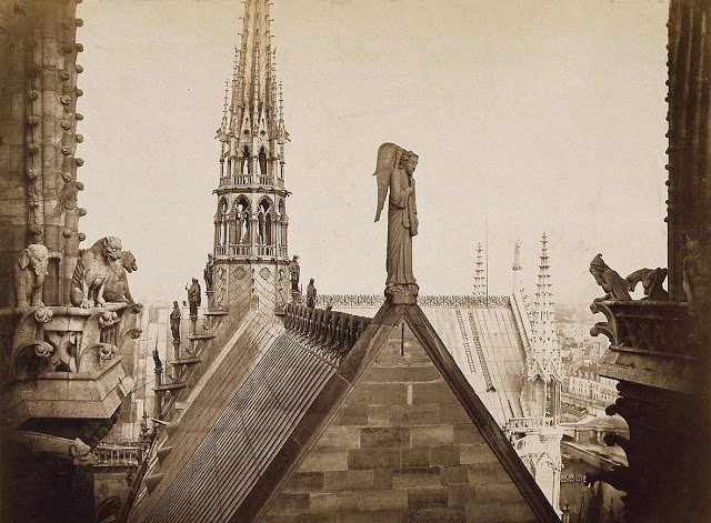Check Out What Notre Dame Paris Looked Like  in 1850 