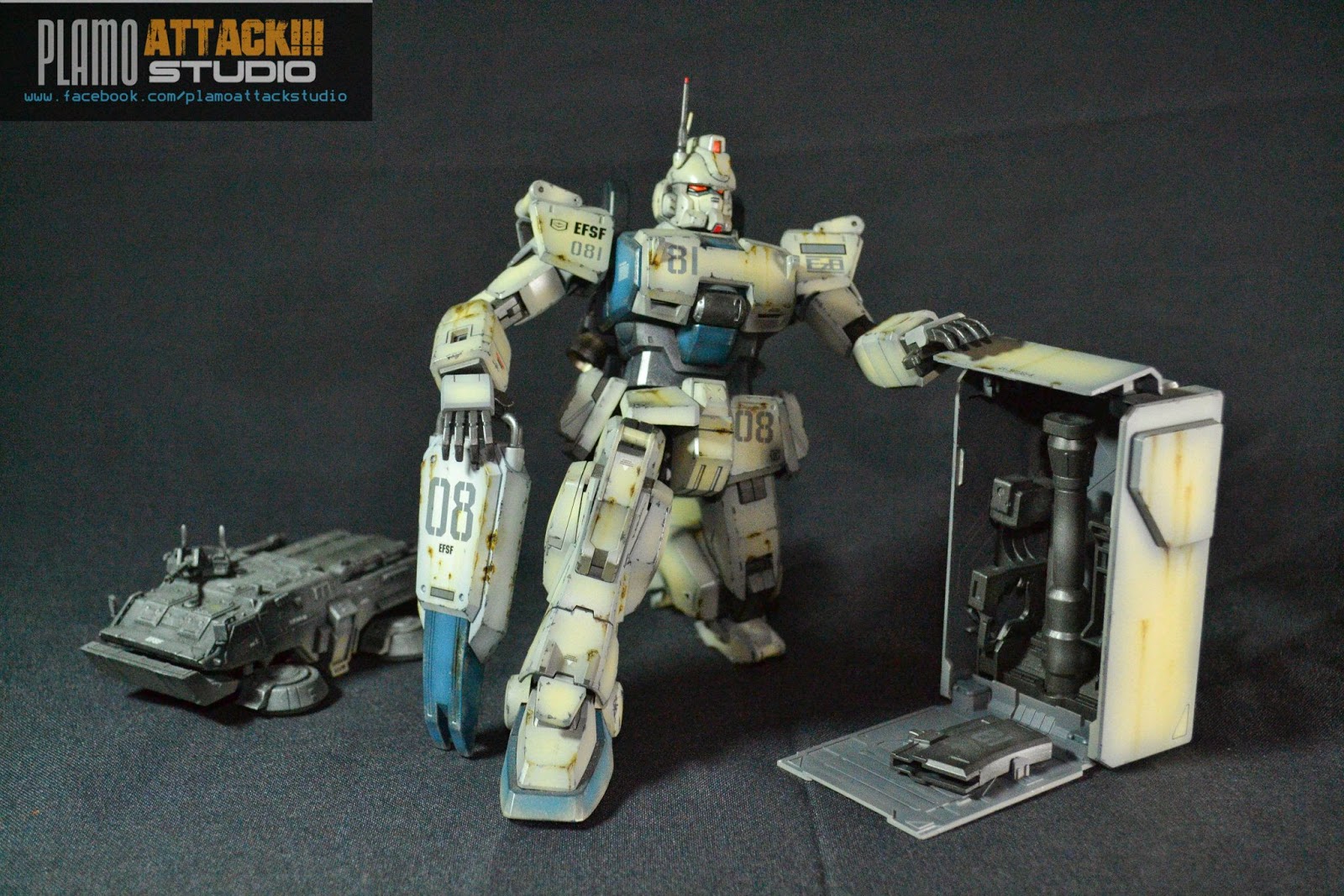 Custom Build MG 1/100 RX79[G]Ez8 Gundam Ez8 Gundam Kits Collection