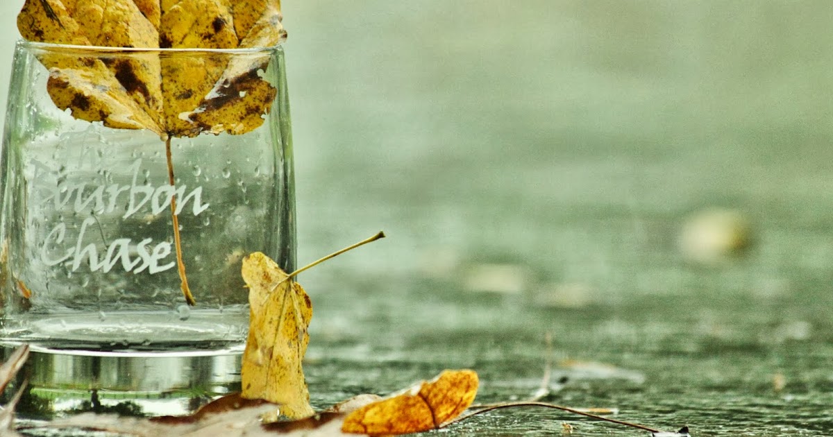 BlueEyed Kentucky Best of Luck to the Bourbon Chasers