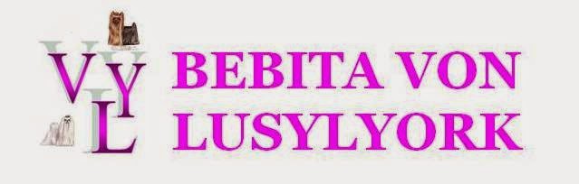 ♥BEBITA VON LUSYLYORK♥