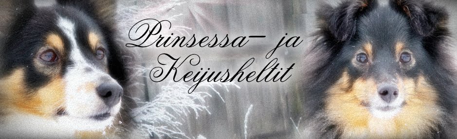 Prinsessa- ja Keijusheltit