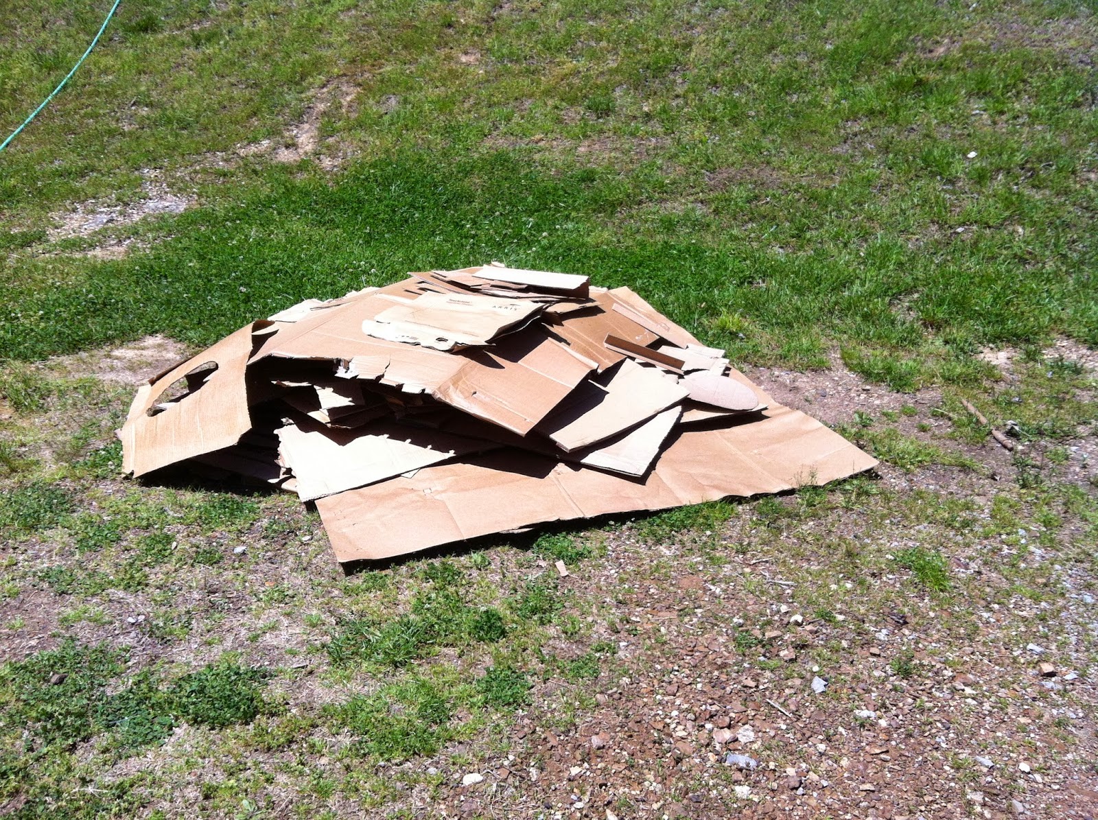 Bee Spring Farm How to Use Cardboard As Mulch