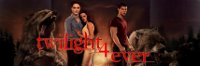 Twilight 4ever - Le site