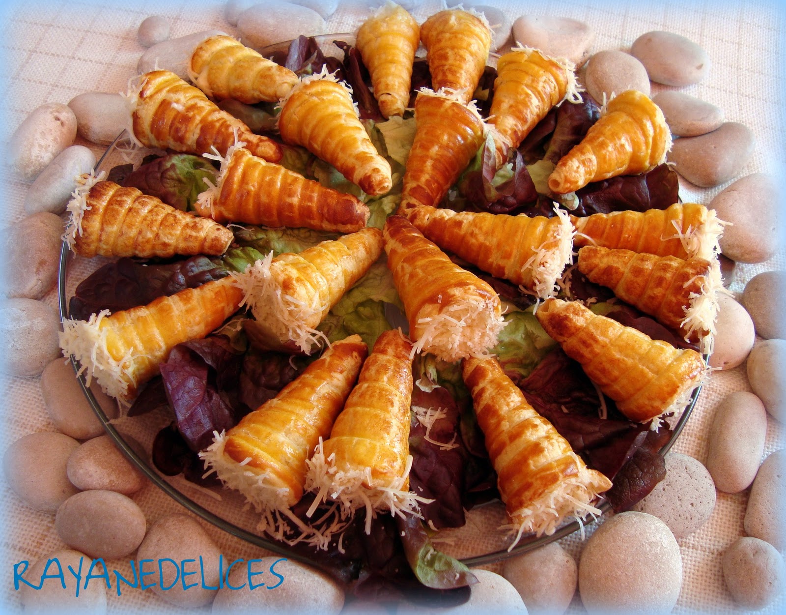 RAYAN DELICES FEUILLETÈS AUX FROMAGES