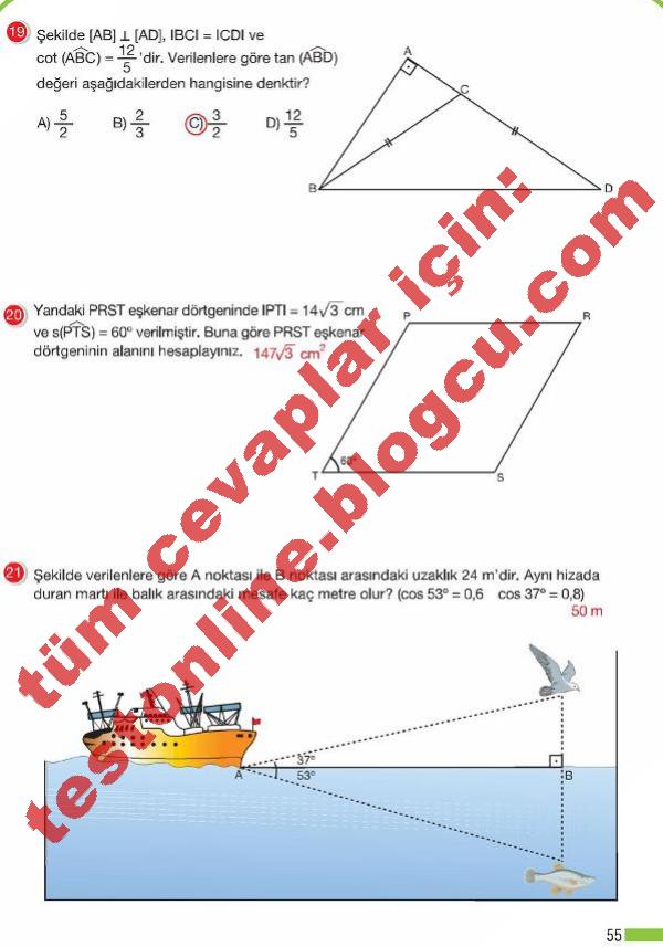 55-sayfa-8.sinif-matematik-calisma-kitabi-cevaplari-testonline.blogcu.com-meb-yayinlari