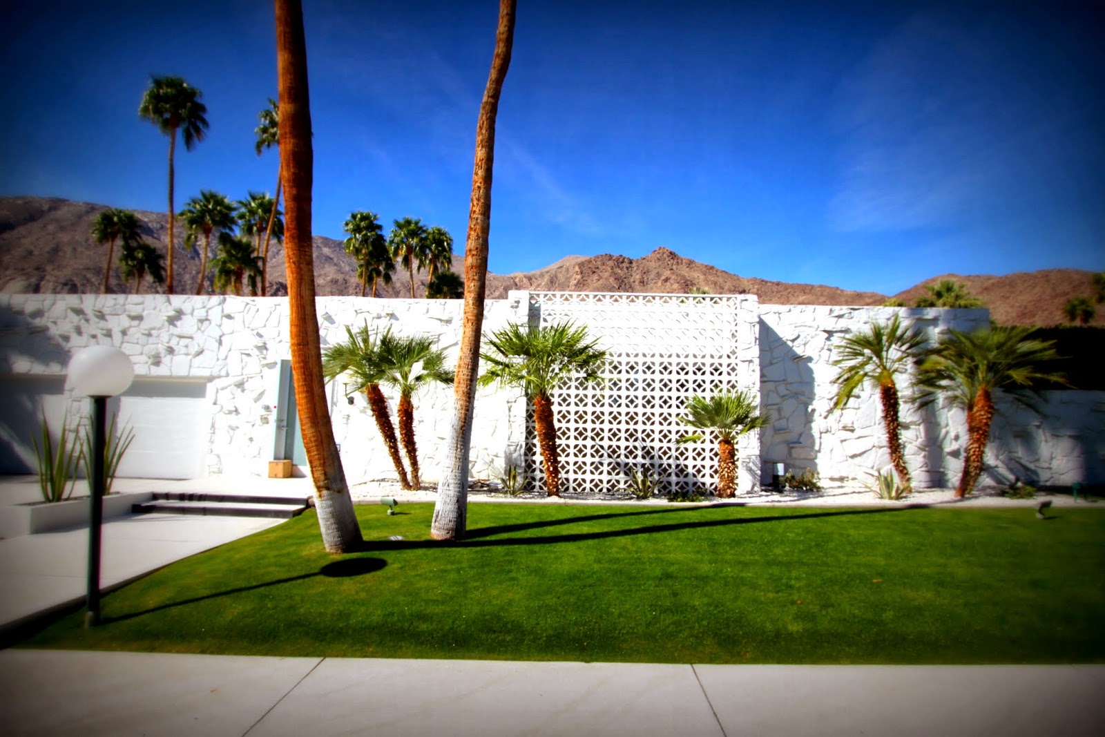Walking Tour, Vista Las Palmas, Palm Springs, Modernism Week 2014