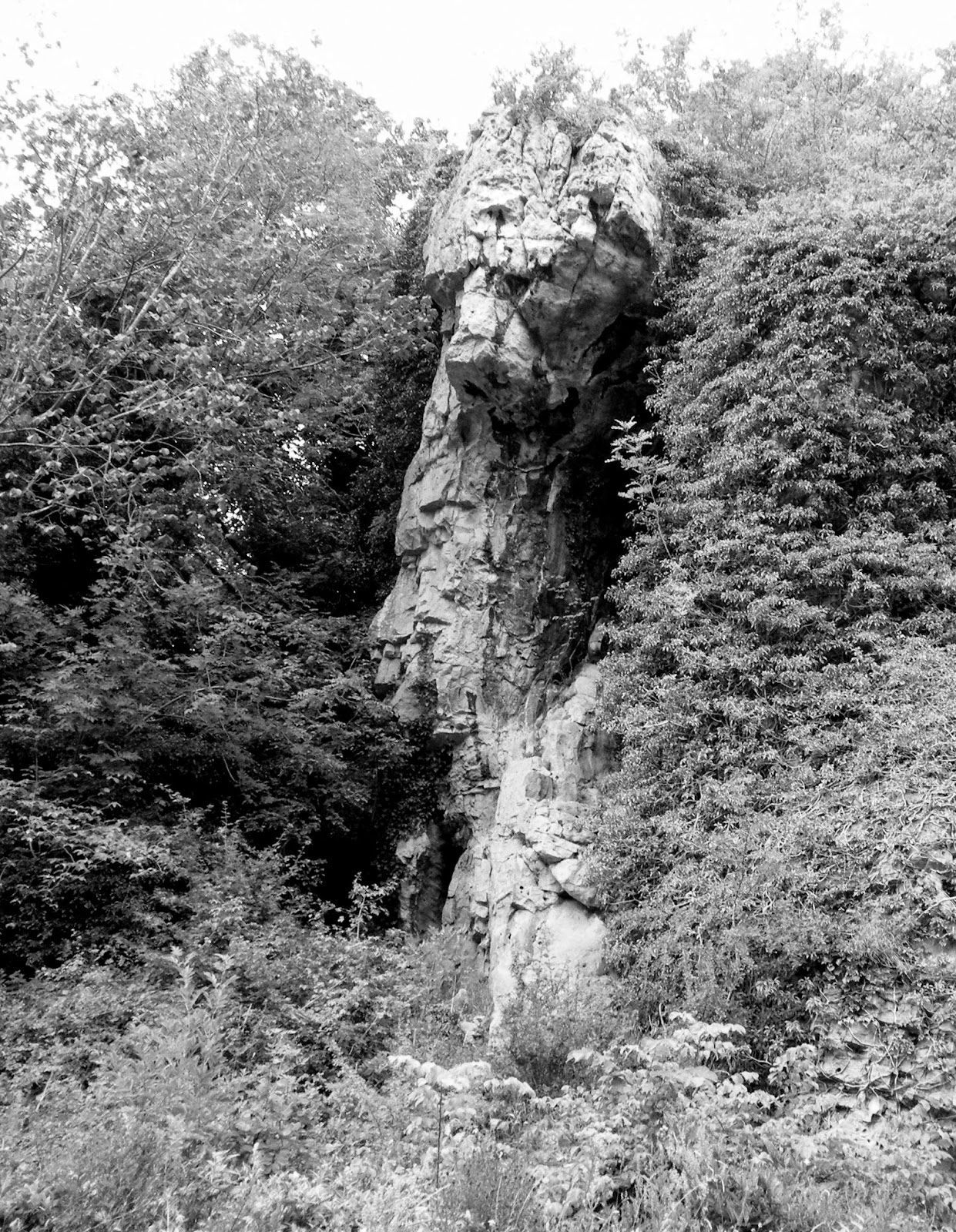 the oak by lord alfred tennyson Tennyson, hallam, lord alfred maud is made static, in her “own little oak given in the memoir and in r j mann's tennyson's 'maud' vindicated is that. the oak by lord alfred tennyson Tennyson, hallam, lord alfred maud is made static, in her “own little oak given in the memoir and in r j mann's tennyson's 'maud' vindicated is that.