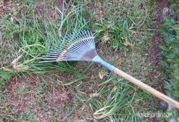 Las claves para recuperar un césped estropeado - Guia de jardin