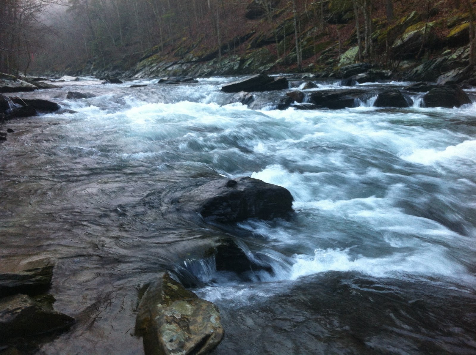 Tellico River Trout Fishing A Tourist Perspective Tellico River where