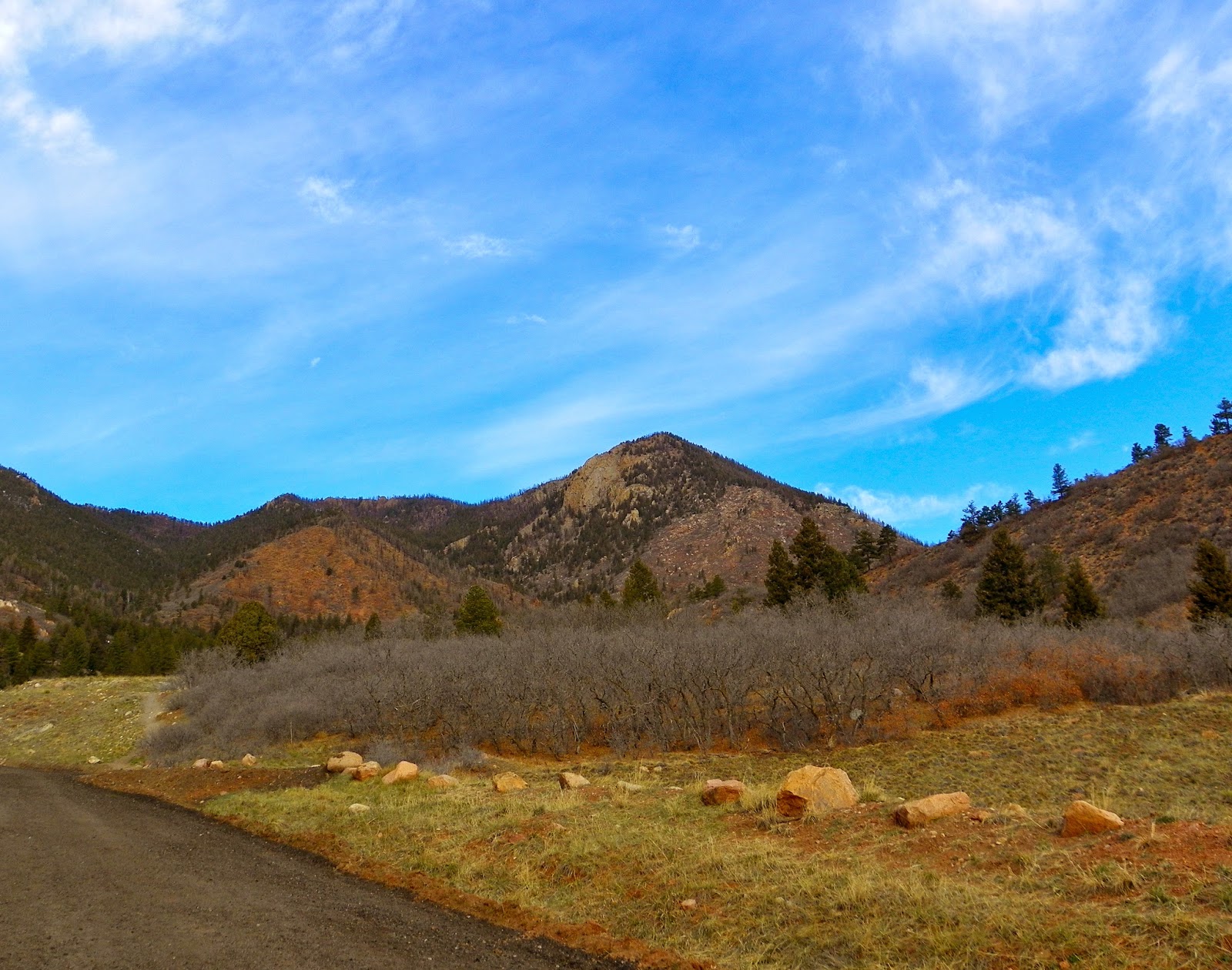 Otowi Blodgett Peak Open Space 3/29/14