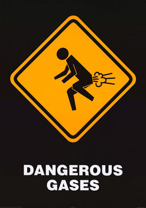 No Fart Zone