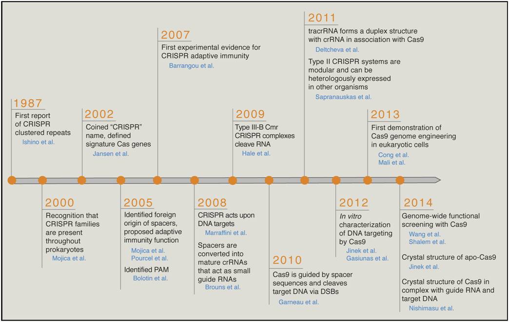 5 Quick Facts on CRISPRCas9 technology A simple RNA Guided Gene