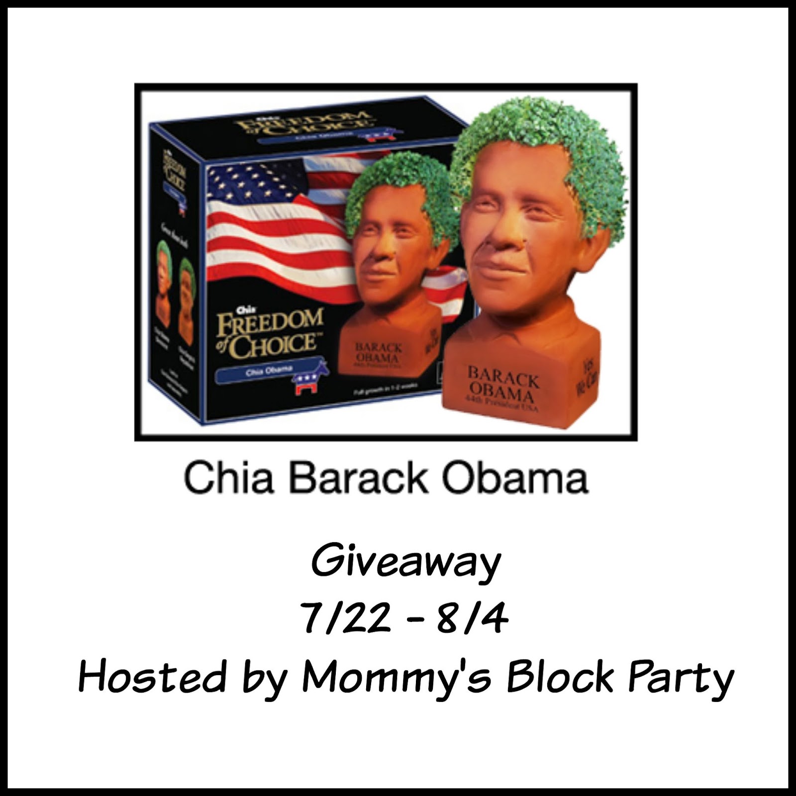 Chi Chi Chi Chia Obama Chia Pet Review Giveaway Mommy S Block Party