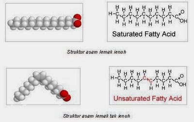 Tugas biokim (nana dan sri) | BiologiReguler B