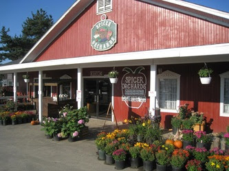 Guide to Apple Orchards and Cider Mills in Livingston County