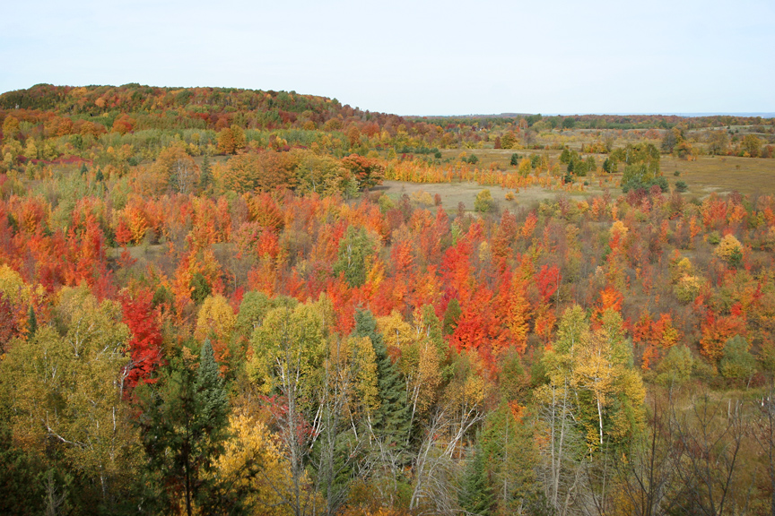 Jeff in TO Mono Cliffs Autumn Hike