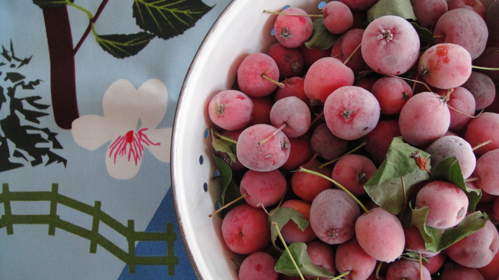 CRAB APPLE SCHNAPPS Life Without Lemons