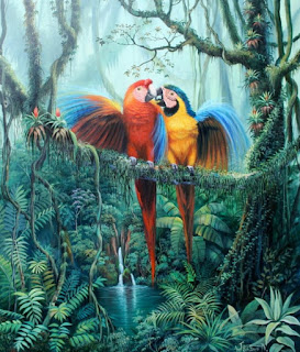 Cuadros Coloridas Guacamayas