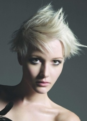 Cute Hairstyles Short Spiky Haircuts