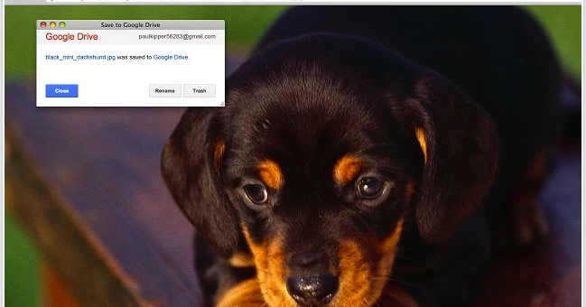 10 Excellent Google Drive Apps Teachers Should Try This School Year