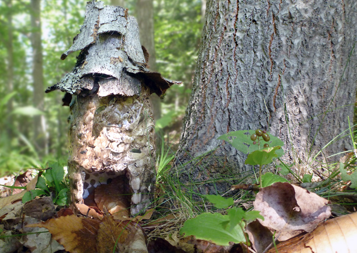 http://inhabitat.com/diy-how-to-make-garden-faerie-houses-pixie-towers-and-toad-homes-from-reclaimed-materials/forest-fairy-house-lead/