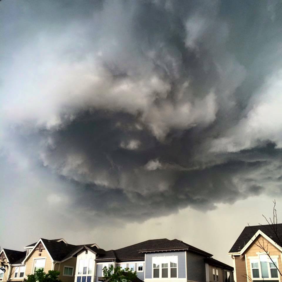 Critter Sitter�s Blog Huge Storm in Denver