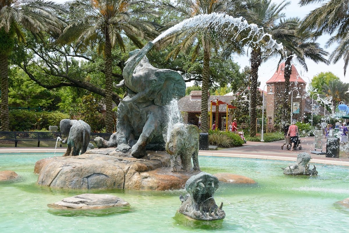 Tom and Margot's Adventures in Photography Audubon Zoo New Orleans
