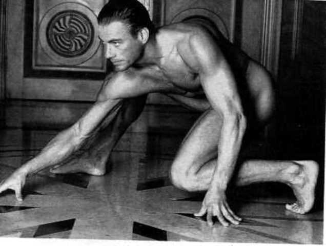 VAN DAME DESNUDO van dame desnudo:
