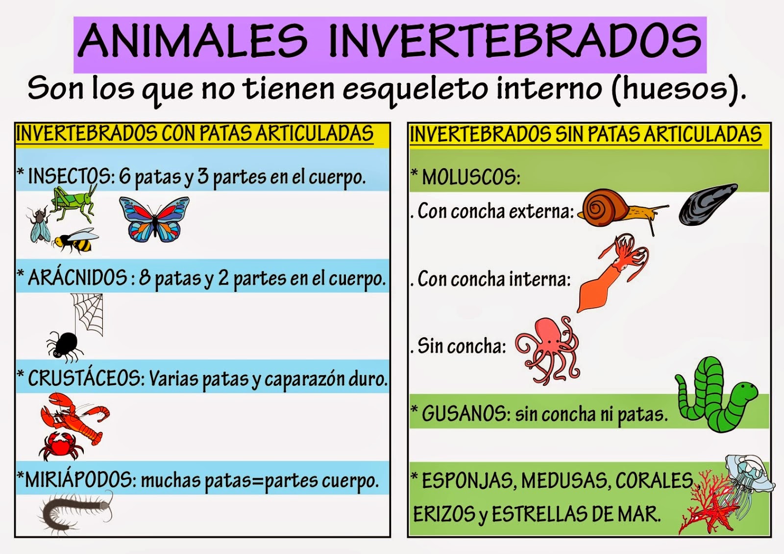 CARACTERISTICA COMUNICACION caracteristica comunicacion: