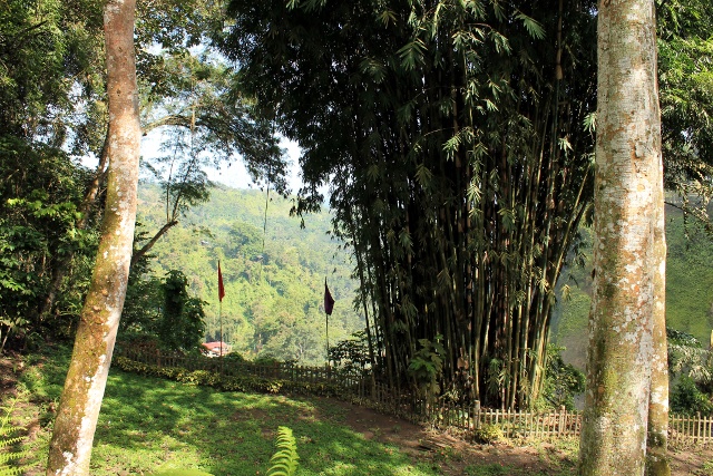 zipline seven falls, lake sebu by julienne zipline seven falls, lake sebu by julienne