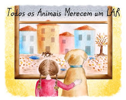 Criação do 1º LAR de Protecção para os Animais em Portugal