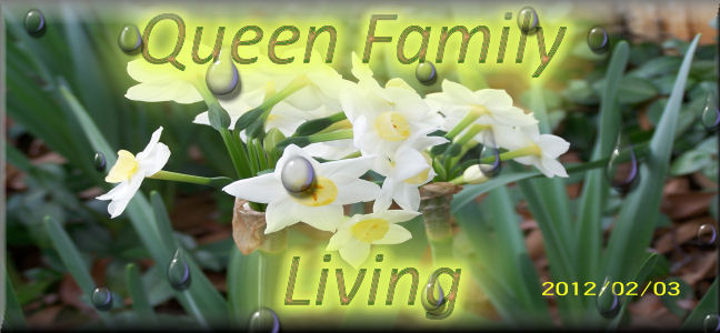 Queenacres Family Living