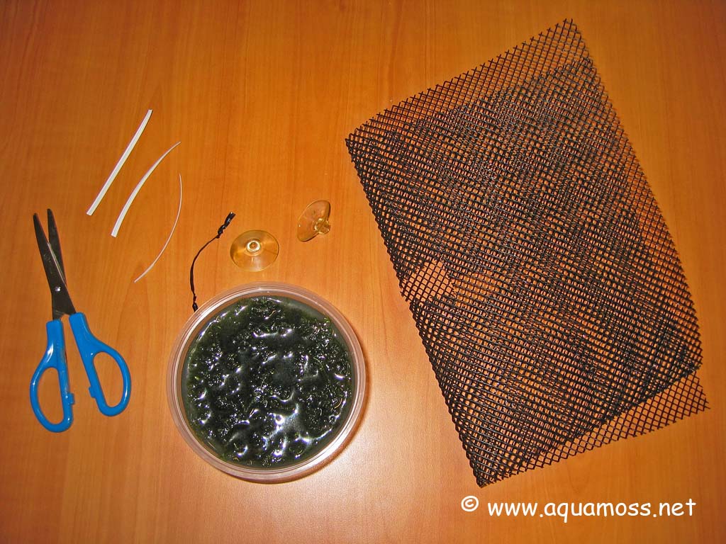 How to Grow Aquatic Moss Wall Aquascape Aquarium Freshwater