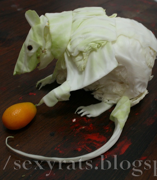 Coming this Spring: Rotten Fruits and veggies will be SEXY RATS!