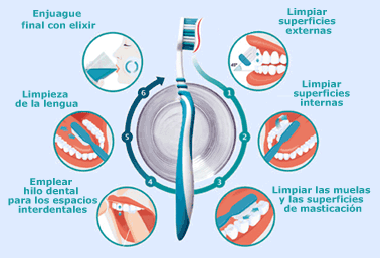 LA SALUD COMO PROCESO FUNDAMENTAL la salud como proceso fundamental: