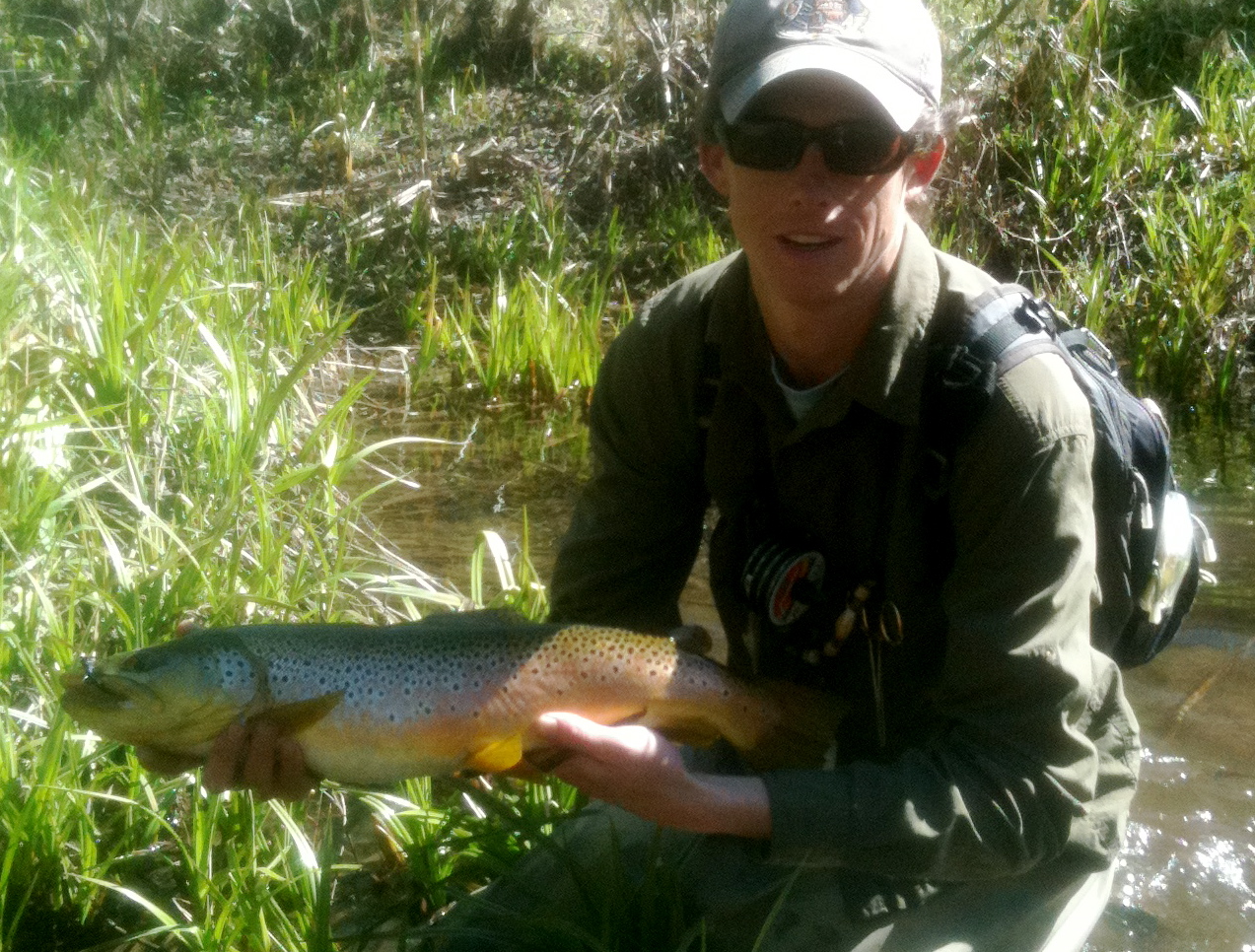 Arizona Fly Fishing East Clear Creek