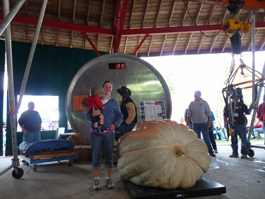 Country is a State of Mind New Bremen Pumpkin Fest