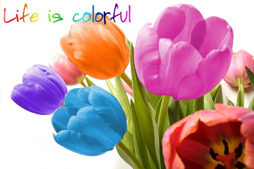 Life is colorful