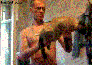 FGmachineguncat.gif